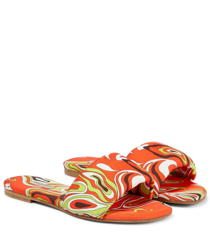 Photo: Pucci Printed slides