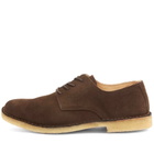 Astorflex Coastflex Suede Derby Shoe