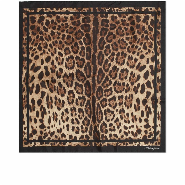 Photo: Dolce & Gabbana Women's Leopard Scarf in Brown 