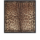 Dolce & Gabbana Women's Leopard Scarf in Brown 