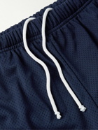 Gallery Dept. - Venice Straight-Leg Striped Logo-Print Mesh Shorts - Blue