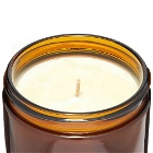 P.F. Candle Co No.11 Amber & Moss Large Soy Candle in 354g