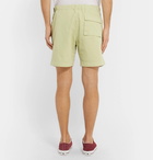 Albam - Mountain Cotton-Twill Shorts - Men - Green