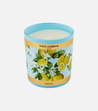 Dolce&Gabbana Casa Lemon scented candle