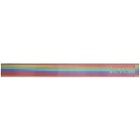 Vetements Multicolor Rainbow Hologram Belt