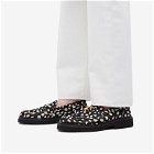 Soulland Men's x VINNY's Palace Loafer in Black/White Spotted Pony