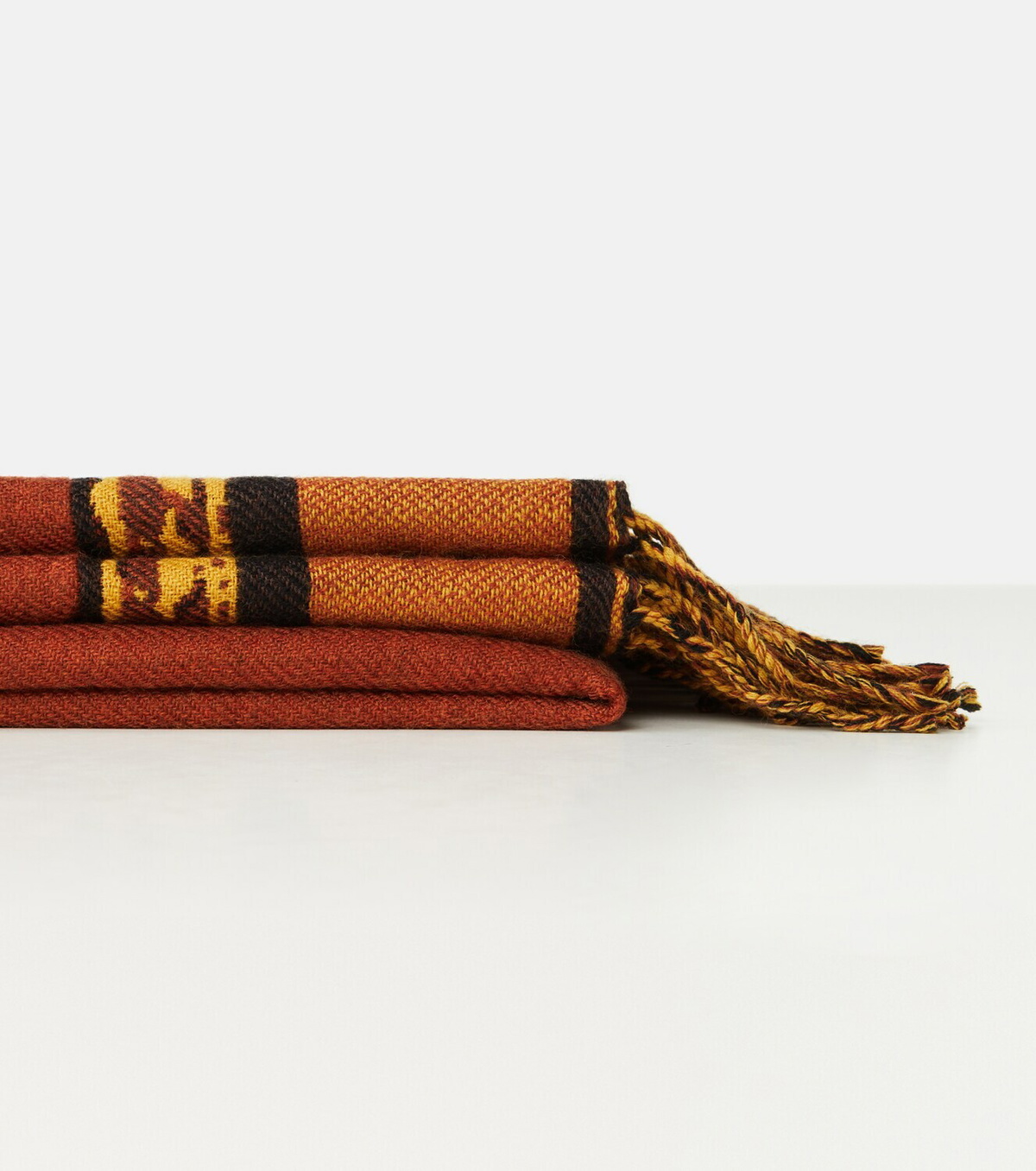 Etro Herald fringed wool throw