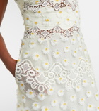 Elie Saab Embroidered guipure lace tulle maxi dress