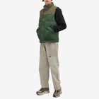 Patagonia Men's Downdrift Vest in Torrey Pine Green