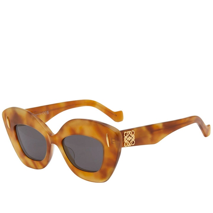 Photo: Loewe Eyewear Women's Anagram Sunglasses in Blonde Havana 