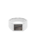 M. Cohen Men's Glib Ring in Silver/Labradorite