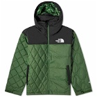 The North Face Men's Black Series Vintage Down Jacket in Pine Needle