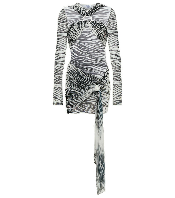 Photo: The Attico - Fran zebra-print tulle minidress