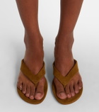 Le Monde Béryl Suede thong sandals