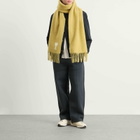 AMI Paris Men's Hairy Alpaca Wool Scarf in Anis 