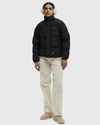 DICKIES SCOBEY PUFFER JACKET Black Womens Down & Puffer Jacket