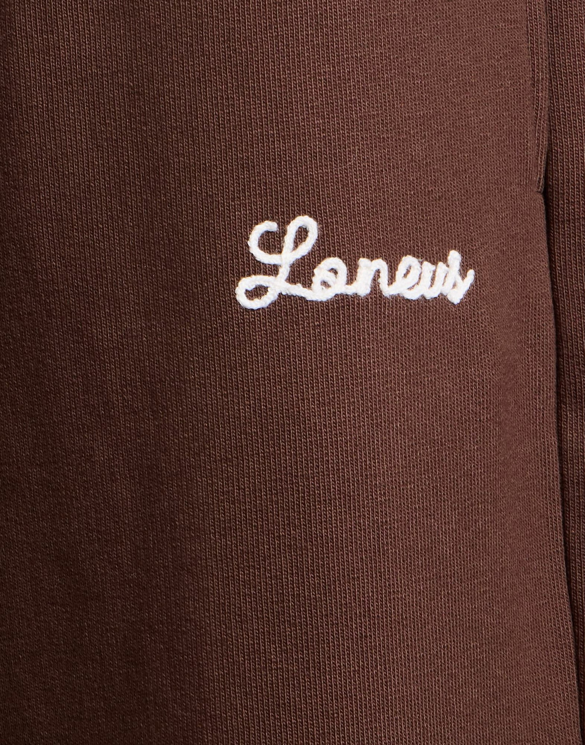 Laneus Womens Pants in Chocolate brown