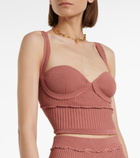Altuzarra - Piper ribbed-knit bustier