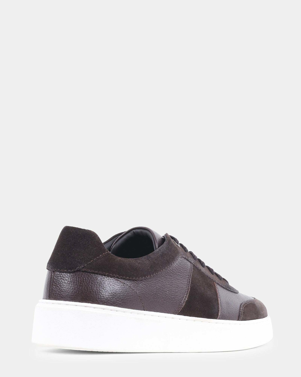 Steve Madden Addler Sneakers in Brown