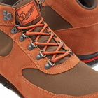 Danner Men's Jag Boot in Sierra/Chocolate Chip