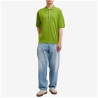 Auralee Men's Cotton Knit Polo Shirt in Sage Green
