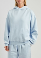 Colorful Standard Hooded Cotton Sweatshirt Light Blue