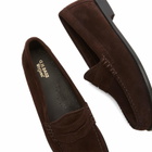 Bass Weejuns Women's Penny Suede Loafer in Chocolate Suede