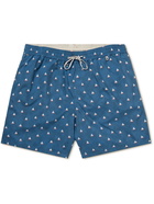 Loro Piana - Mid-Length Printed Swim Shorts - Blue