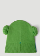 Walter Beanie Hat in Green