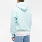 DIGAWEL Men's Reverse Weave Popover Hoody in Mint