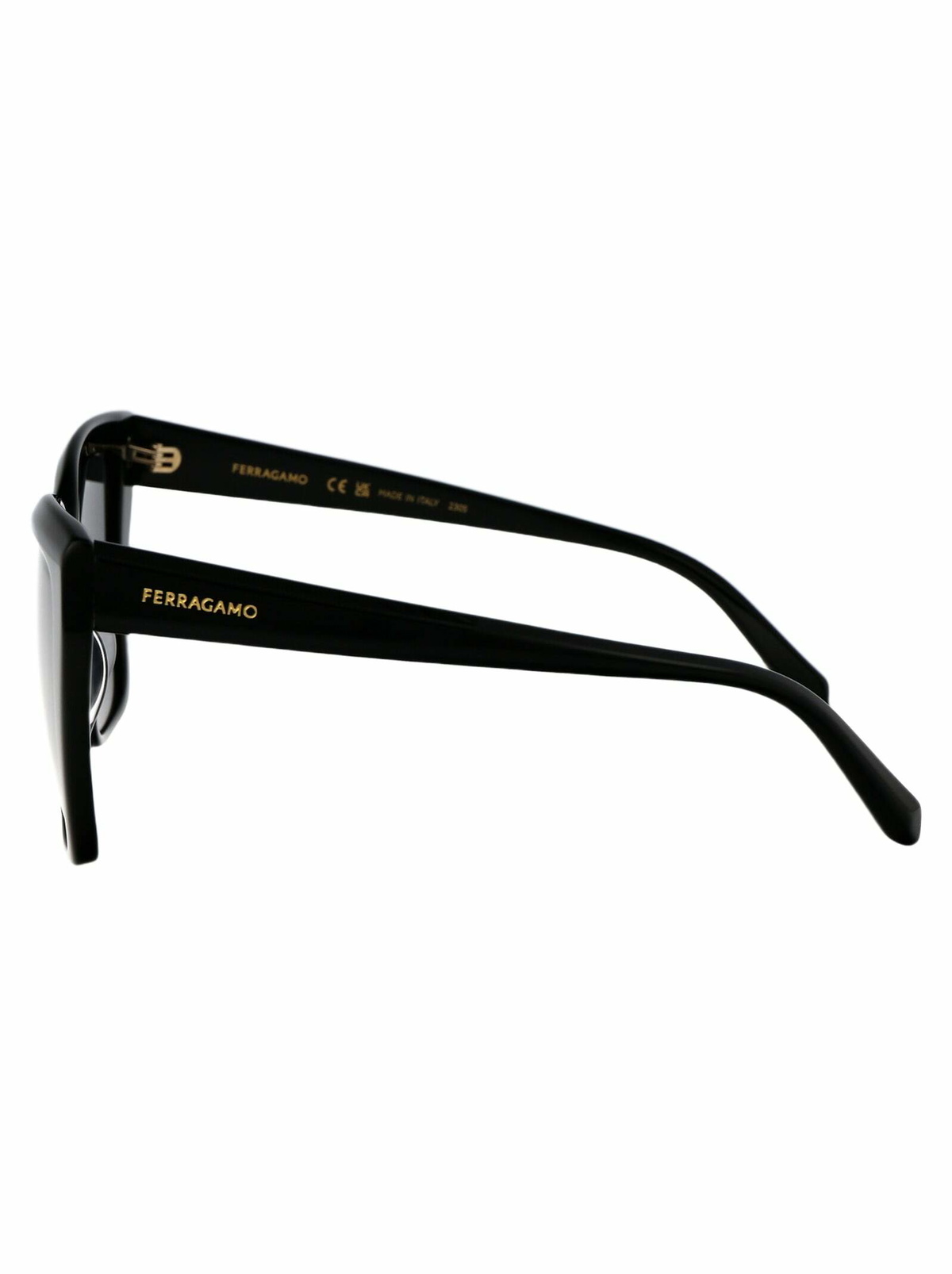 Salvatore Ferragamo Eyewear Sf1102s Sunglasses