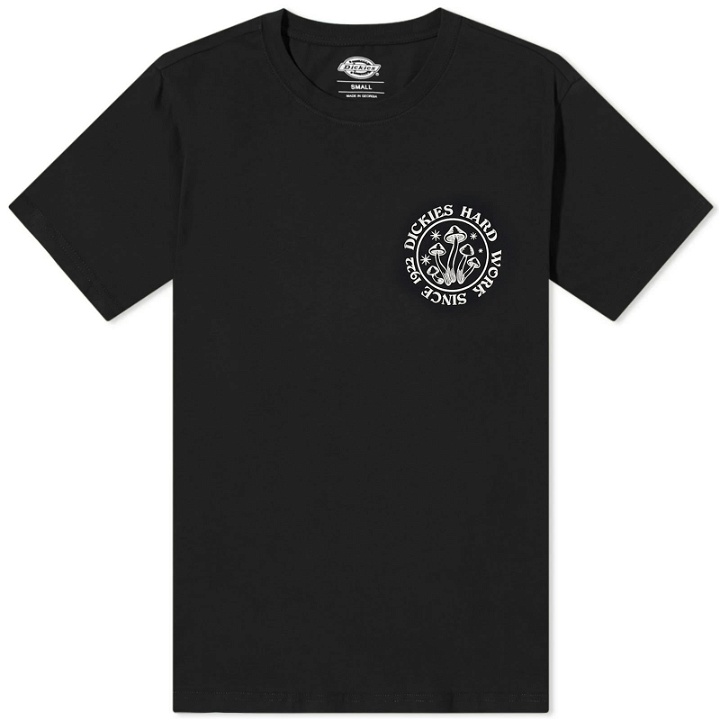 Photo: Dickies Men's Bayside Gardens T-Shirt in Black