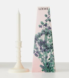 Loewe Home Scents Oregano scented wax candle holder