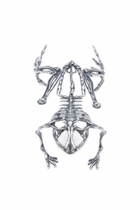 Diesel Skeleton-effect metal bracelet - Bracelets Womens in Silver