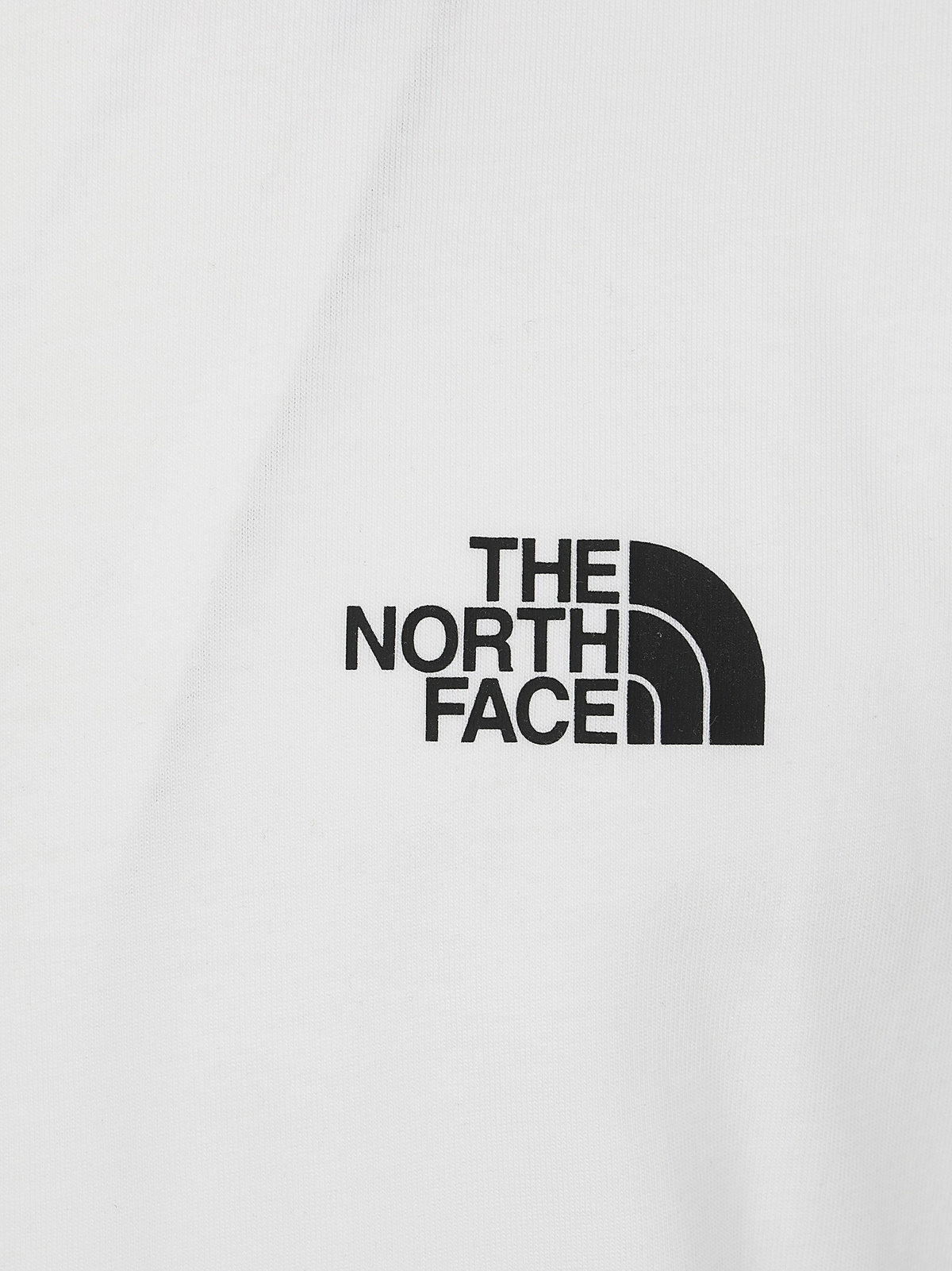 The North Face Man Short Sleeves Simple Dome Tee in White