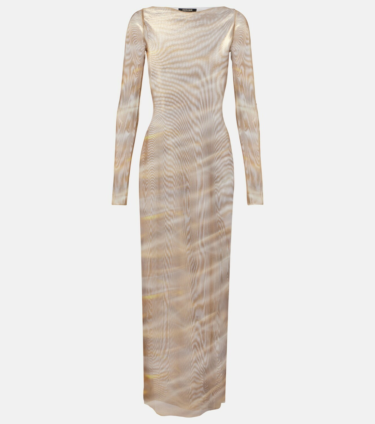 Roberto Cavalli Printed sheer maxi dress