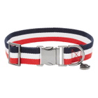 Moncler Genius Multicolor Poldo Dog Couture Edition Webbing Dog Collar