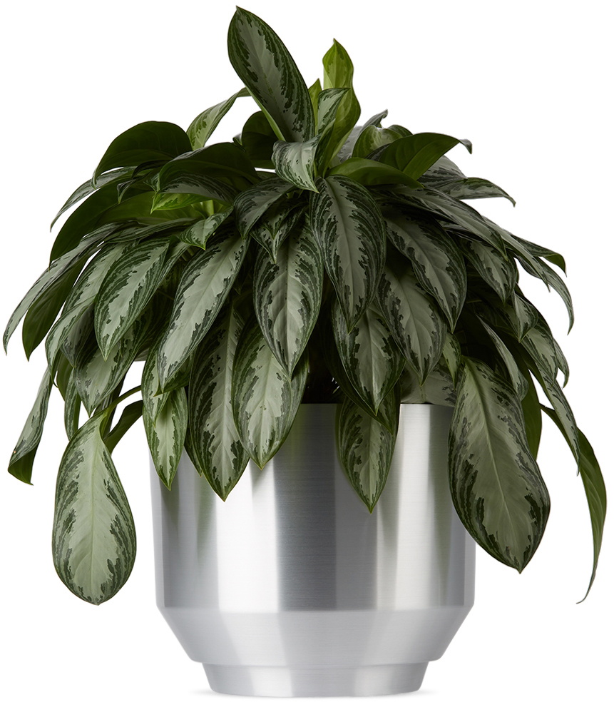YIELD Aluminum 16 Spun Planter