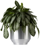 YIELD Aluminum 16 Spun Planter