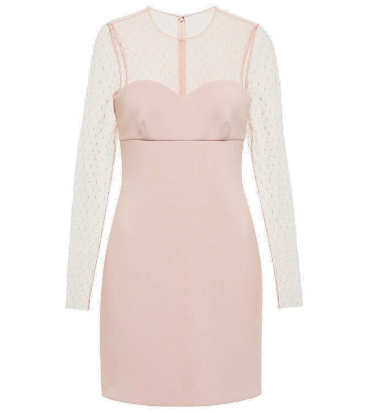 Photo: REDValentino Cady with point d'esprit tulle minidress