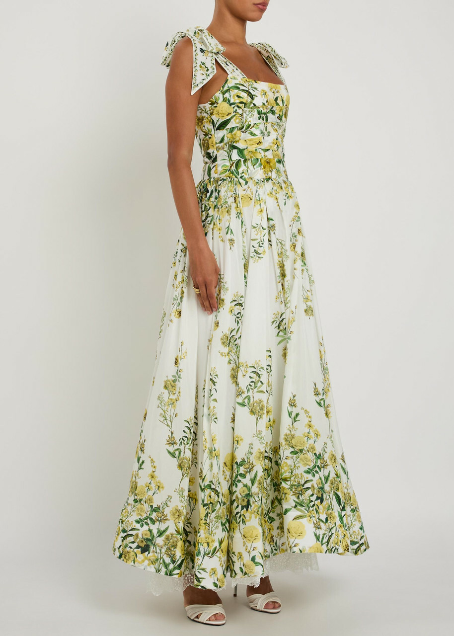 Alice + Olivia Haven Floral Cotton and Silk-blend Maxi Dress Multicoloured