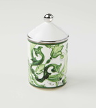 Dolce&Gabbana Casa Majolica porcelain scented candle