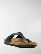 BIRKENSTOCK - Gizeh Thong Sandals