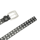 Molebo M2450 Belt in Black