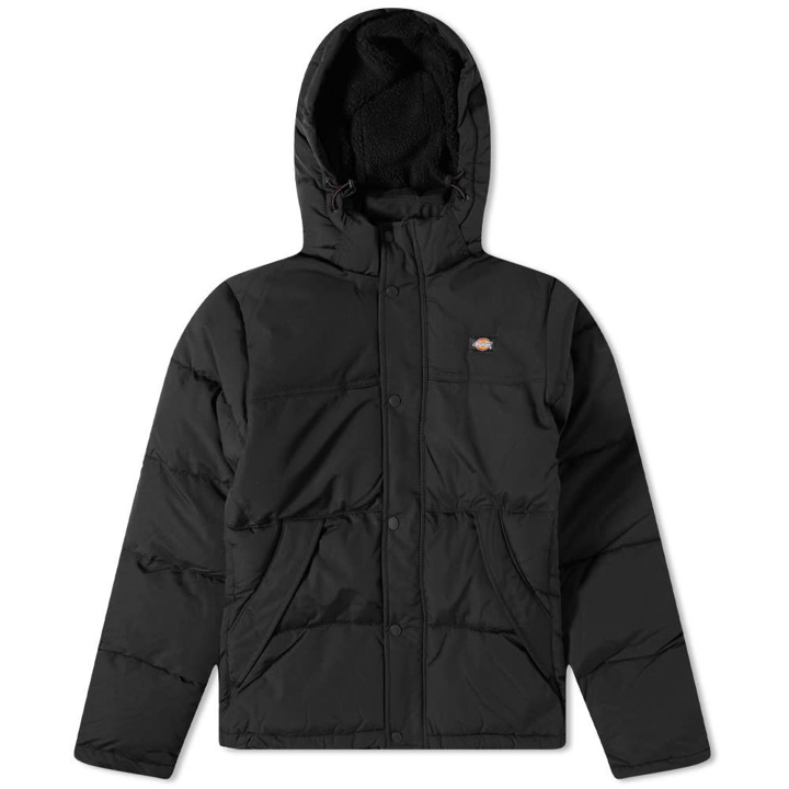 Photo: Dickies Glacier View Coat