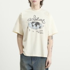 Adidas Men's Illust Gfx T-Shirt in Cream White