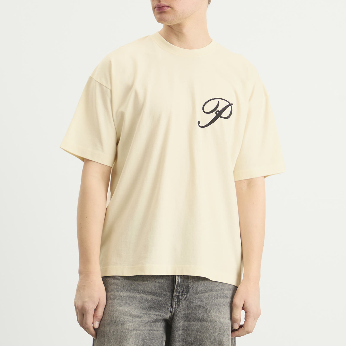 Picante Men's Gallery T-Shirt in Ivory