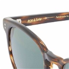 Ace & Tate Men's Alfred Large Sunglasses in Tigerwood