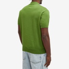 Polar Skate Co. Men's Miles Knit Polo Shirt in Garden Green