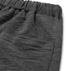 Barena - Tapered Wool-Blend Jersey Sweatpants - Dark gray